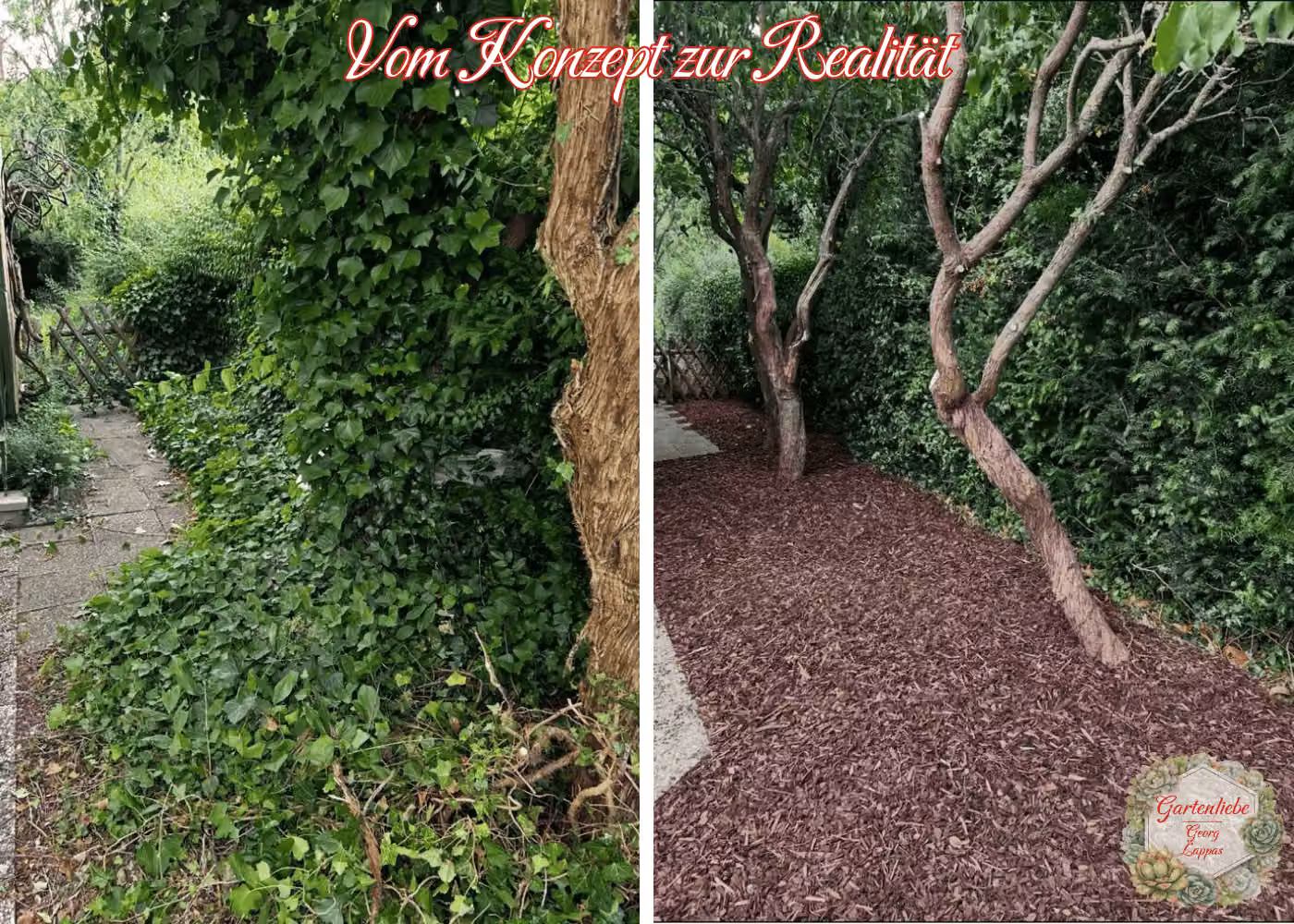 Vorher-Nachher-Ansicht eines bepflanzten Gartenbereichs