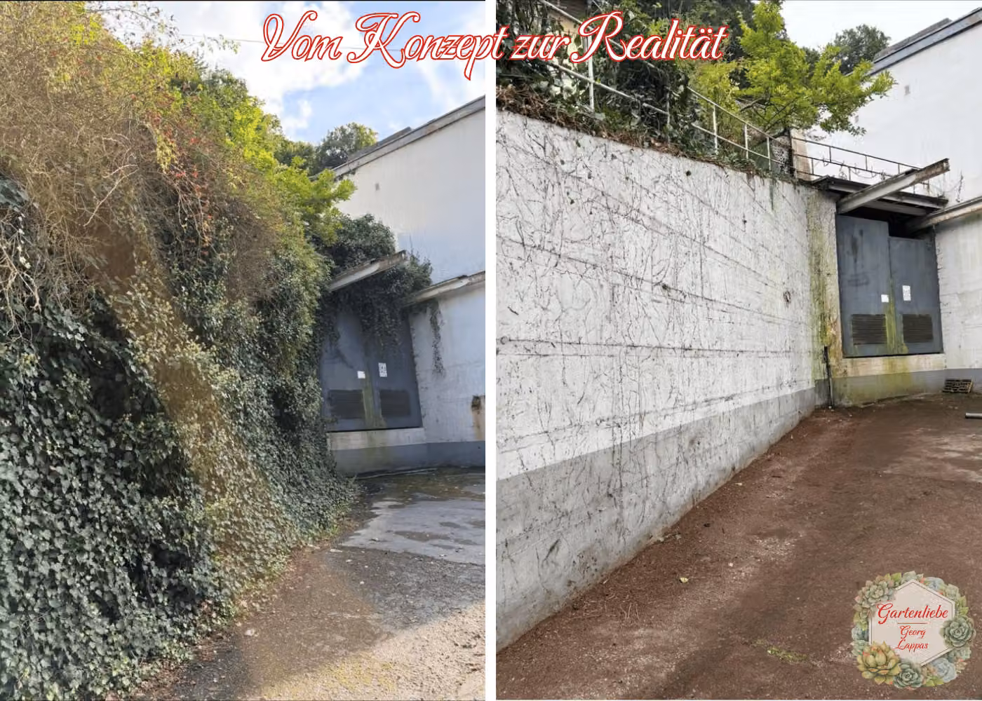 Vorher-Nachher-Ansicht einer gereinigten Hauswand mit Gartenbereich