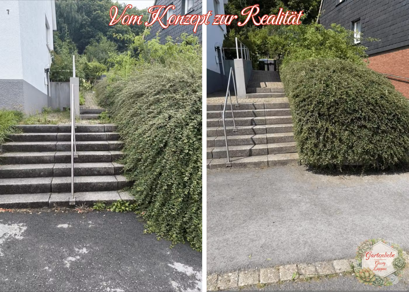 Vorher-Nachher-Ansicht einer gepflegten Treppe mit Hecke