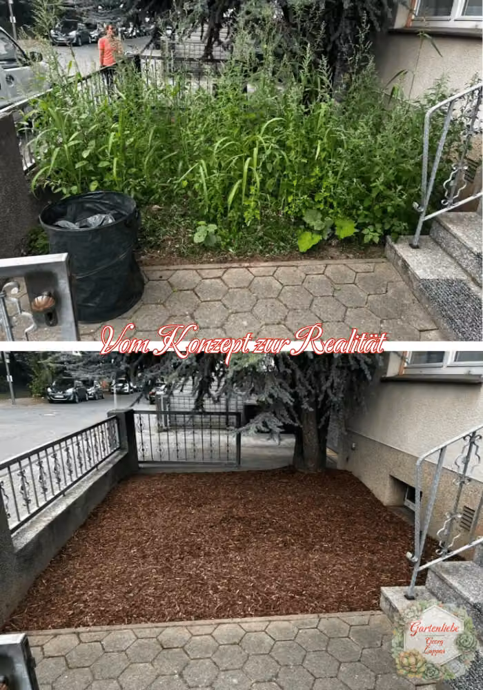 Vorher-Nachher-Ansicht einer gereinigten Terrasse