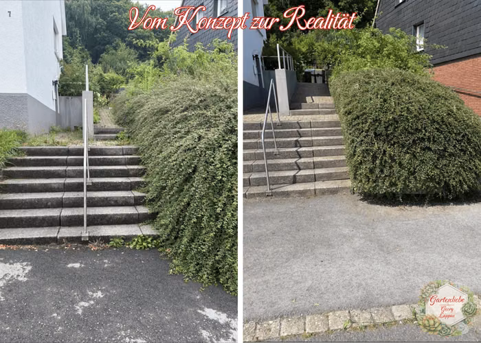 Vorher und nachher: Hecke an einem Treppenzugang